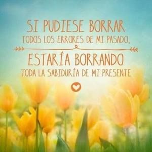 Meet your Posher, Ingrid